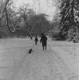 Zimowy spacer z psem