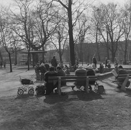 Rodzinny wypoczynek w parku