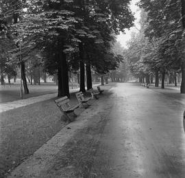 Ścieżki w parku Juliusza Słowackiego