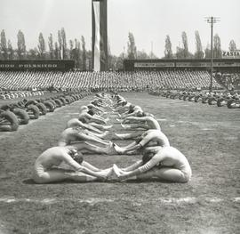 Pokaz gimnastycznym na Stadionie Olimpijskim