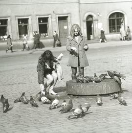 Kobiety na Wrocławskim Rynku