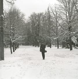 Teresa Nowak w Parku Szczytnickim zimą