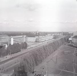 Plac Grunwadzki