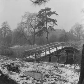 drewniany most w ogrodzie botanicznym