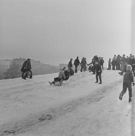 dzieci bawiące się na śniegu
