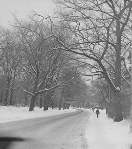 zimowa droga do szkoły