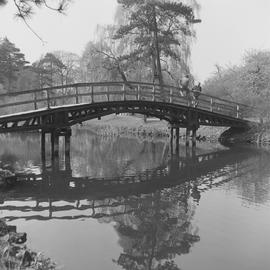 drewniany most w ogrodzie botanicznym