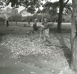 Kobiety grabiące liście przy fosie miejskiej