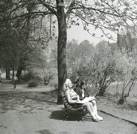 Kobiety w Parku Staromiejskim