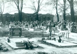 Cmentarz w Godzikowicach