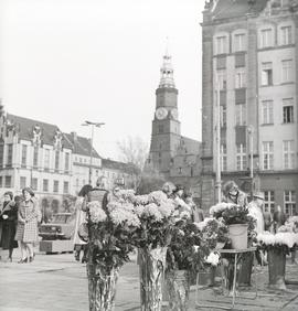 Stoiska wrocławskich kwiaciarek na pl. Solnym