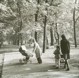 Spacer z dziećmi w Parku Mikołaja Kopernika we Wrocławiu