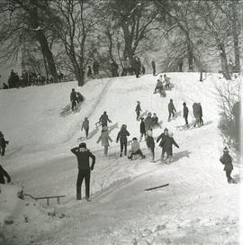 Zimowa zabawa dzieci w parku