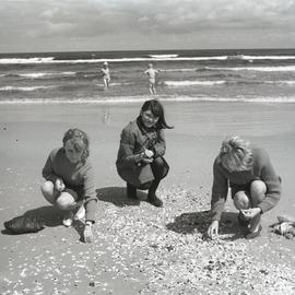 Zbieranie muszli na plaży