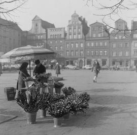 sprzedaż kwiatów na Placu Solnym