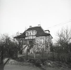Wrocławski dom willowy