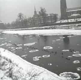 Rzeka Odra - widok na wrocławski Ostrów Tumski zimową porą
