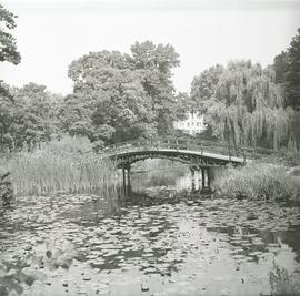 Drewniany mostek w Ogrodzie Botanicznym Uniwersytetu Wrocławskiego we Wrocławiu