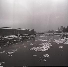 Rzeka Odra - widok na gmach Urzędu Wojewódzkiego i Most Pokoju we Wrocławiu