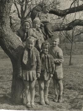 Dzieci przy drzewie