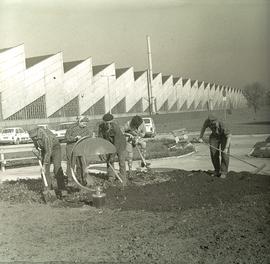 Pracownicy Hutmenu podczas pracy nad urządzaniem trawników wokół zakładu