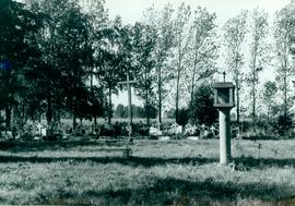 Cmentarz w Jankowicach