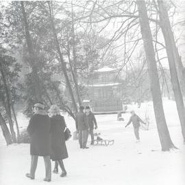 Ogród Japoński we Wrocławiu podczas zimy