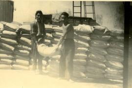 Pracownicy cukrowni w Pustkowie Żurawskim