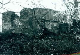 Ruiny w Psarach