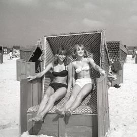 Kobiety w koszach plażowych