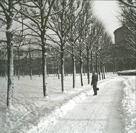 Zimowy spacer przed Halą Ludową