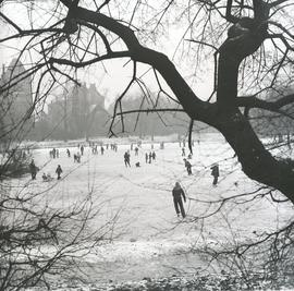 Zimowa zabawa w parku