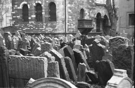 Cmentarz żydowski w Pradze