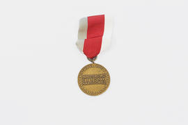 Brązowy medal " Za zasługi dla obronności kraju"