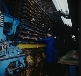 Bielawskie Zakłady Przemysłu Bawełnianego