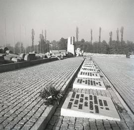 Pomnik Ofiar Obozu Auschwitz II - Birkenau