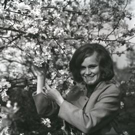 Kobieta przy kwitnącym drzewie owocowym