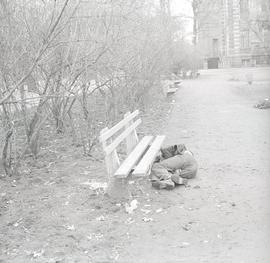 Nietrzeźwy mężczyzna leżący w parku