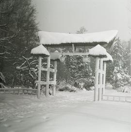 Wejście do Ogrodu Japońskiego we Wrocławiu podczas zimy