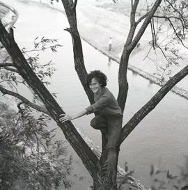 Młoda dziewczyna na drzewie obok rzeki