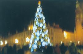 Nowy Ratusz we Wrocławiu i choinka bożonarodzeniowa